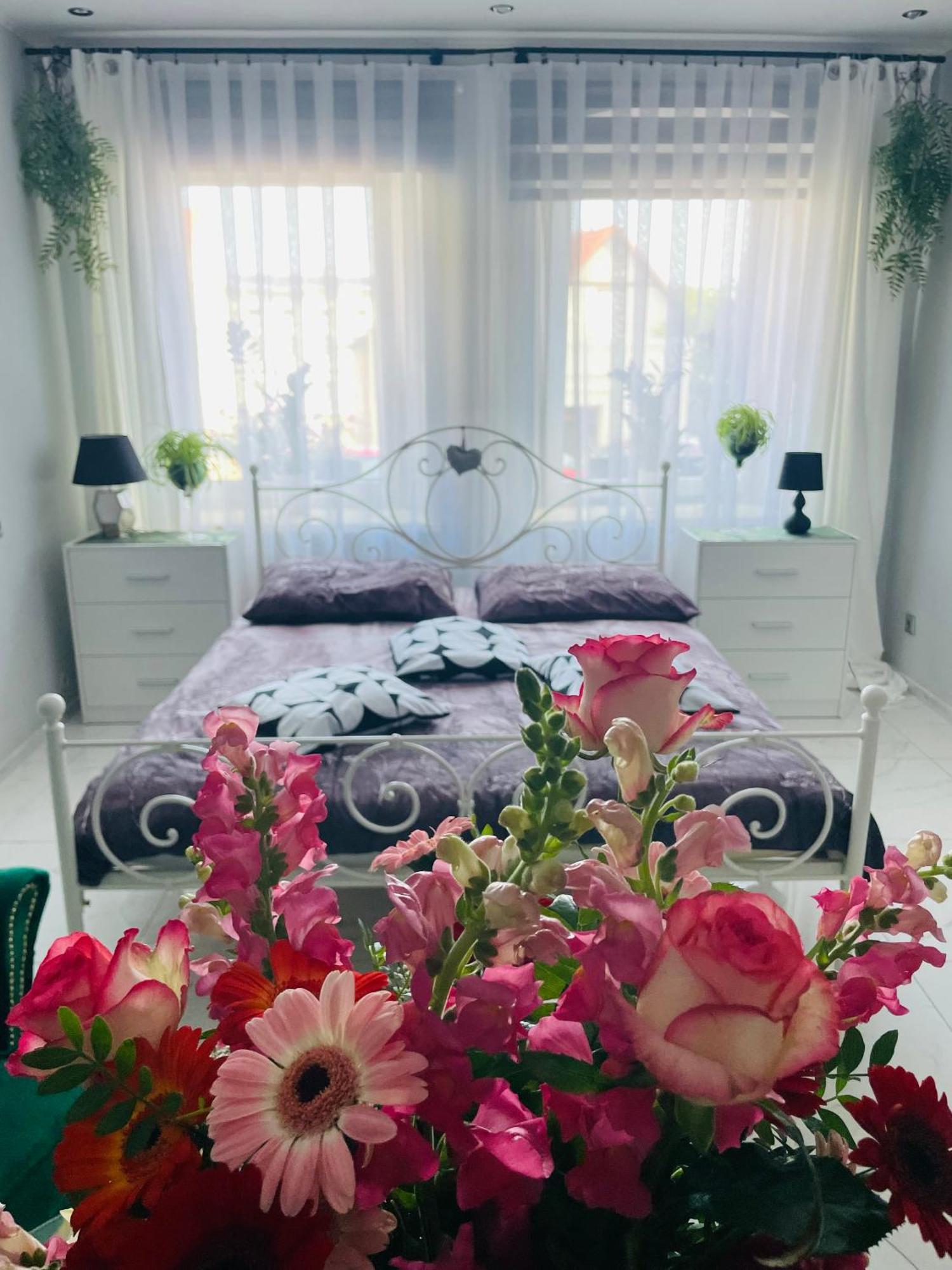 Apartament U Danusi Zloty Stok Bagian luar foto